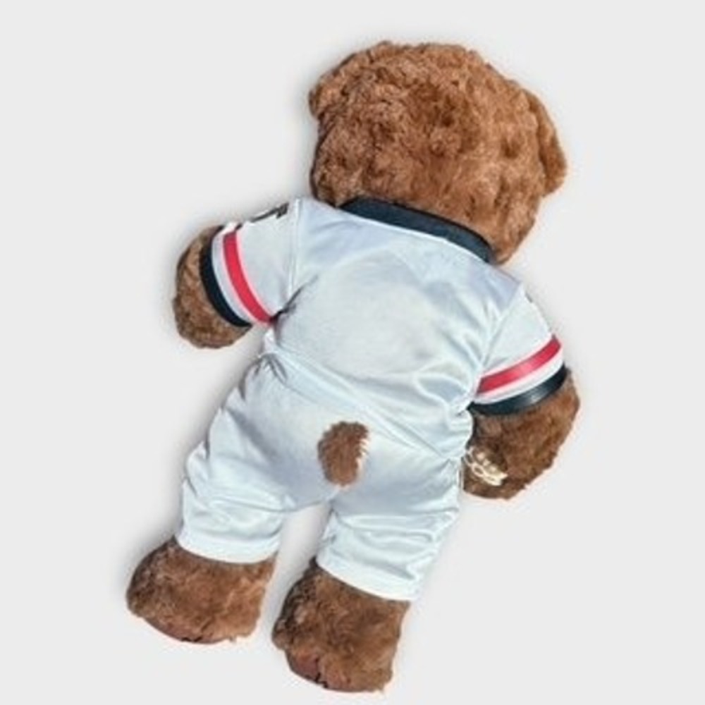 Build-A-Bear Atlanta Falcons NFL Football Plush Teddy Bear Collectible 00 - Picture 4 of 6
